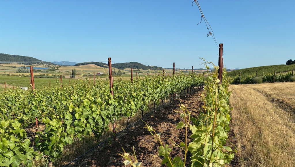 Wine Country Home Decor